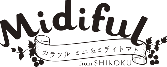 カラフル ミニ&ミディトマト｜Midiful（ミディフル）