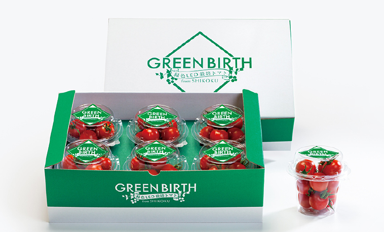 GREEN BIRTH BOX グリーンバースボックス(1.5kg)