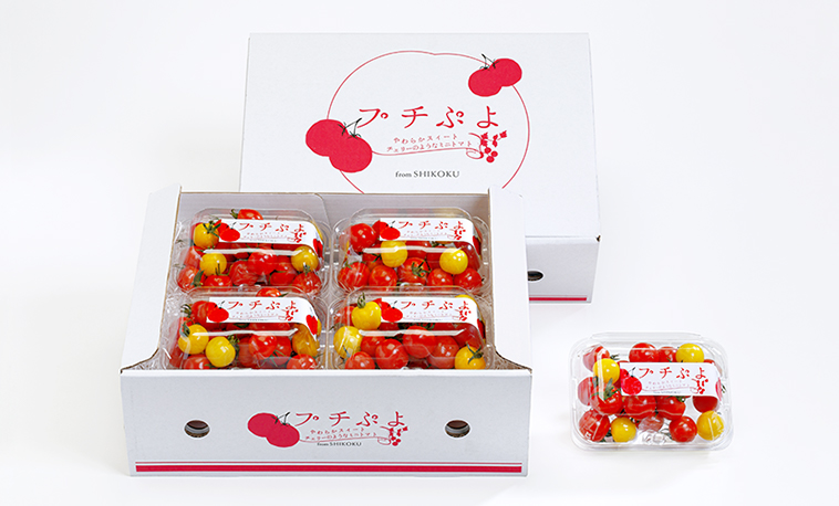 プチぷよBOX（1.2kg）